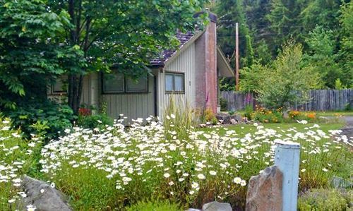 סיסטרס Mckenzie River Mountain Resort מראה חיצוני תמונה
